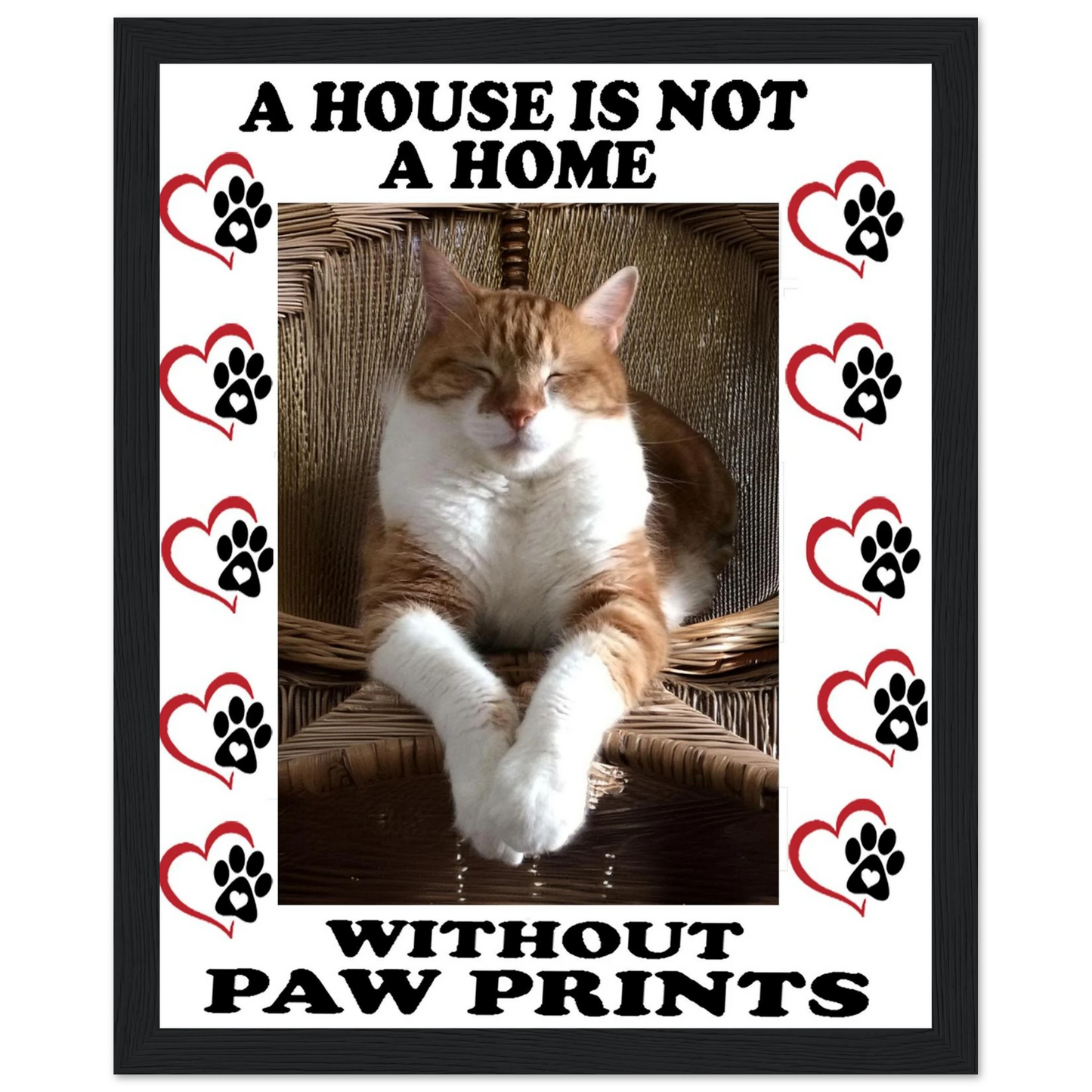 8bf73f5c-b525-4386-9307-dc23f61a23b2